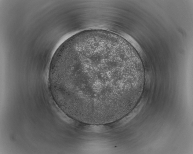 X0000113311052200910051059