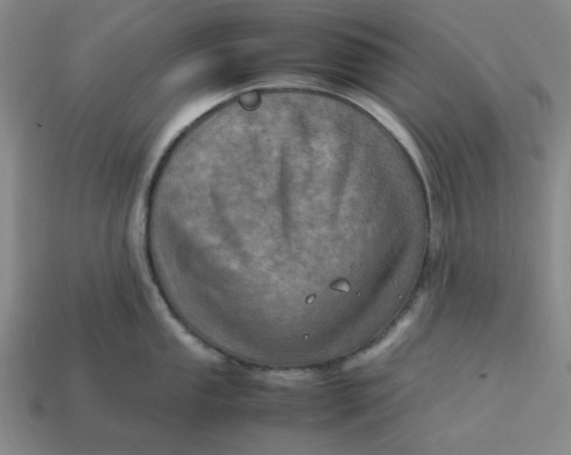 X0000113311053200910051059