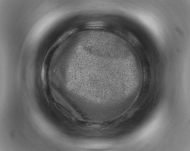 X0000113311054200910051059