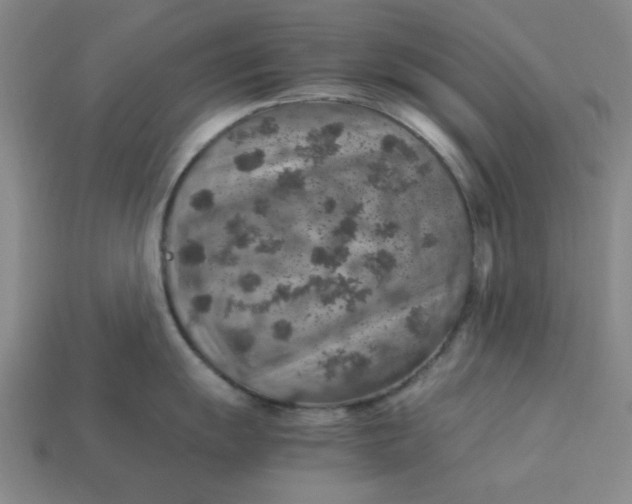 X0000113311055200910051059