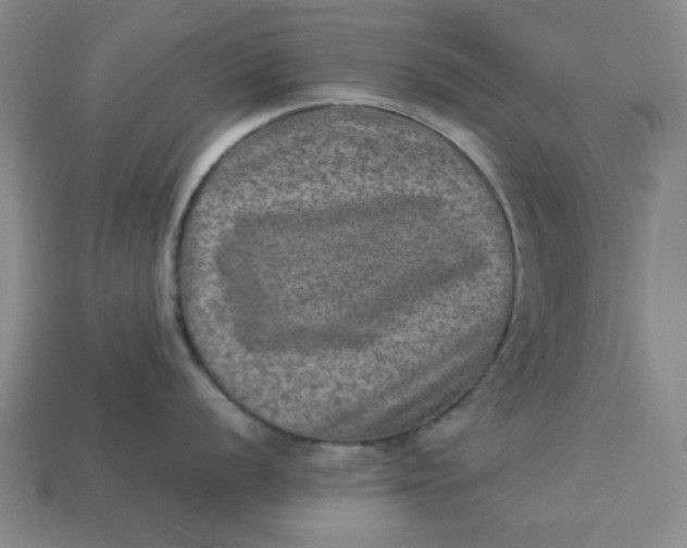 X0000113311056200910051100