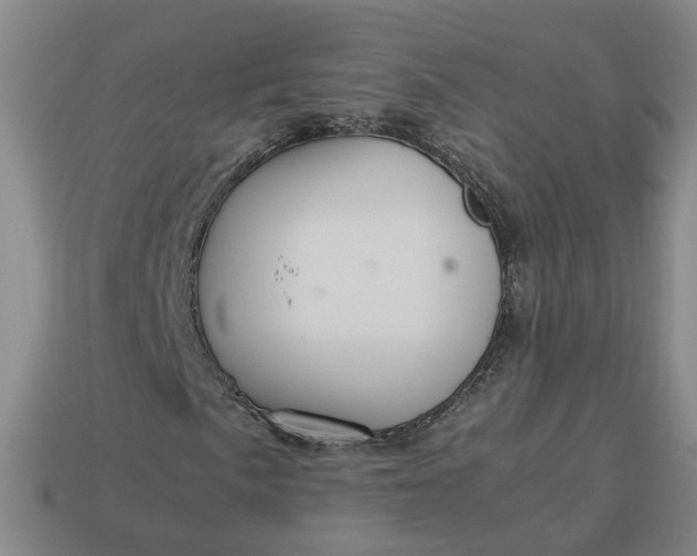 X0000113311057200910051059