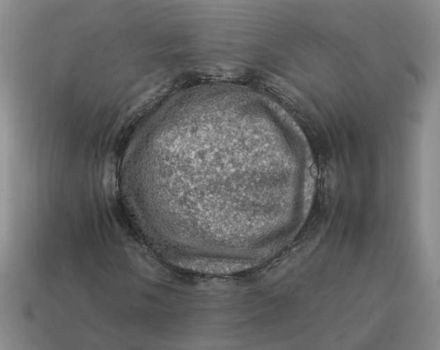 X0000113311058200910051059