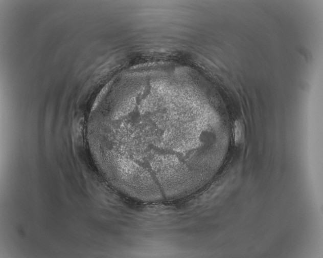 X0000113311059200910051059