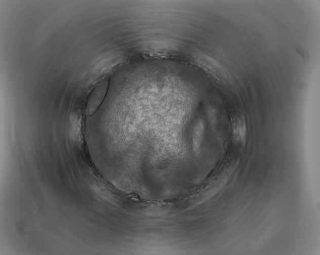 X0000113311060200910051059