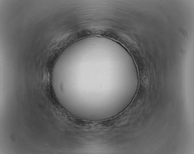 X0000113311061200910051059