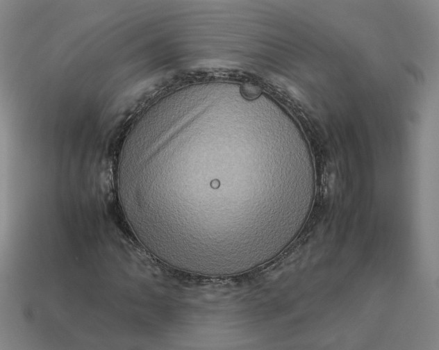 X0000113311062200910051059