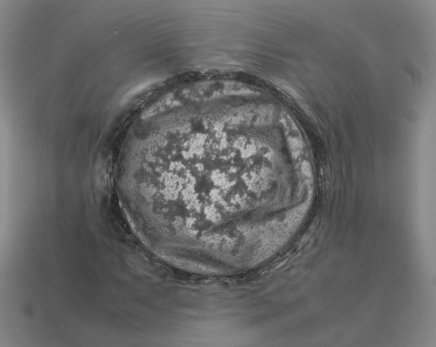 X0000113311063200910051059