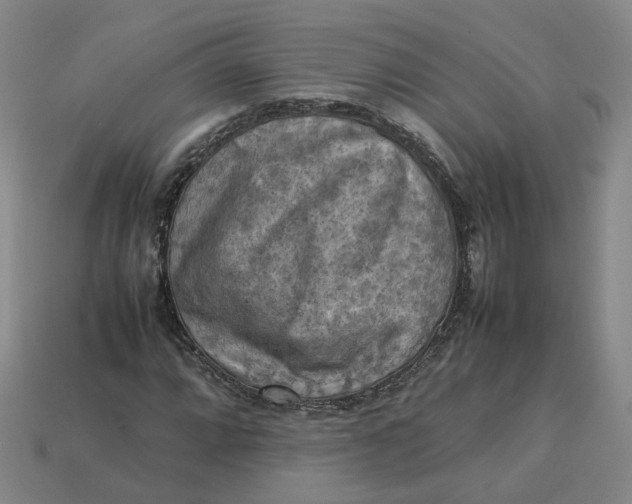 X0000113311064200910051059