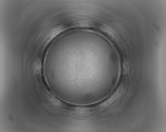 X0000113311065200910051059