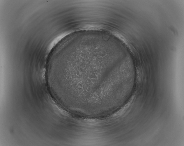 X0000113311066200910051059