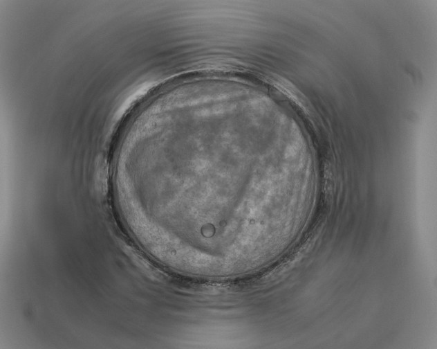 X0000113311067200910051059