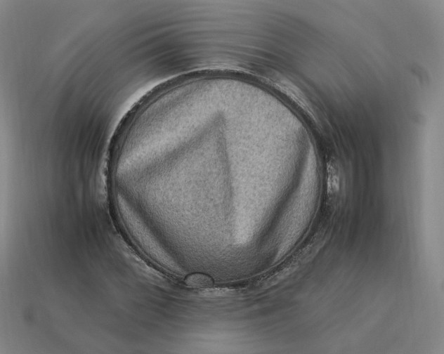 X0000113311068200910051059