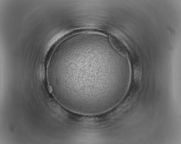 X0000113311069200910051059