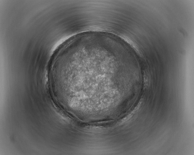 X0000113311070200910051059