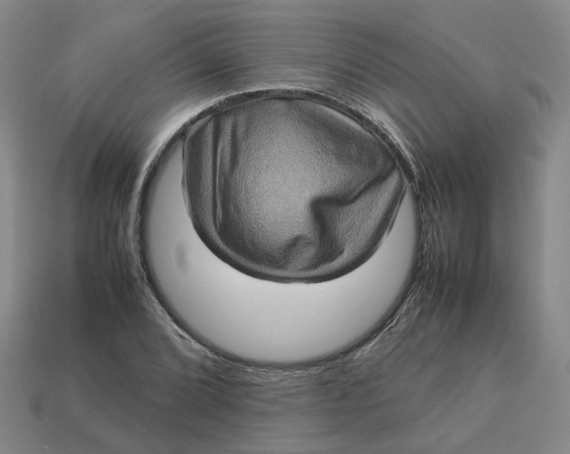 X0000113311072200910051059