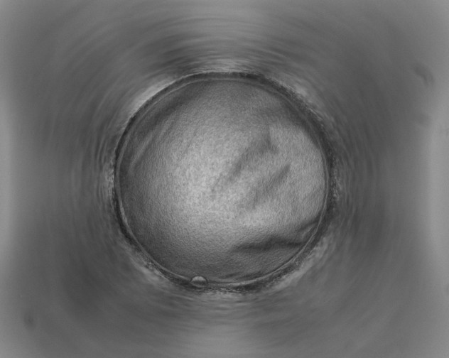 X0000113311073200910051059