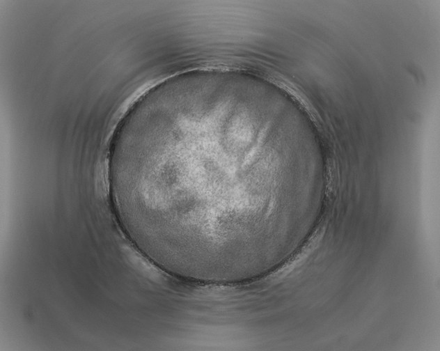 X0000113311075200910051059