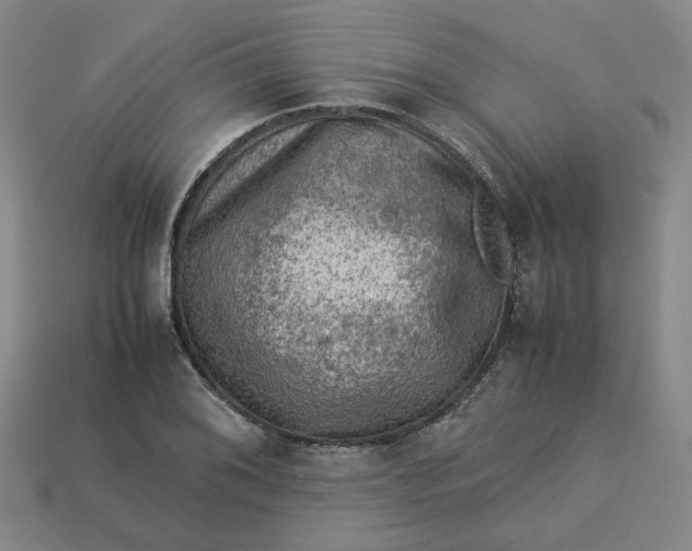 X0000113311076200910051059