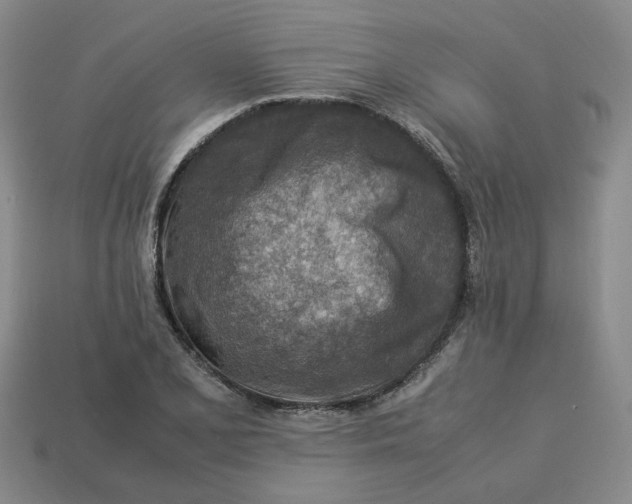 X0000113311077200910051058