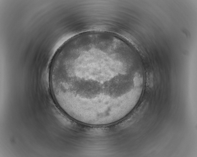 X0000113311078200910051058