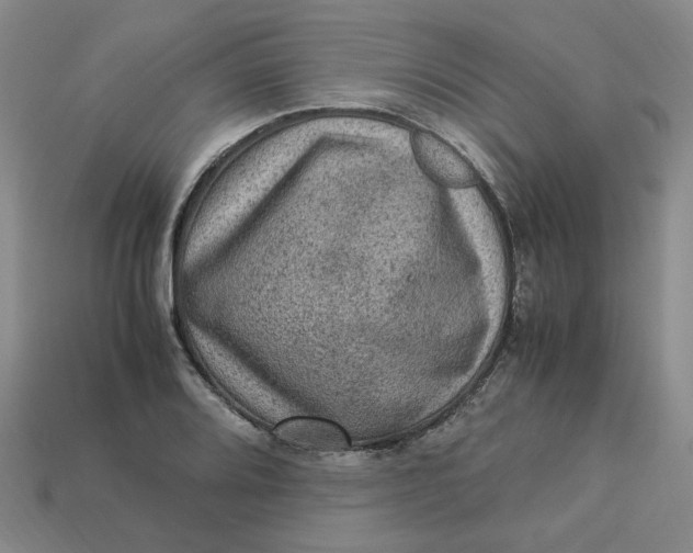 X0000113311080200910051058