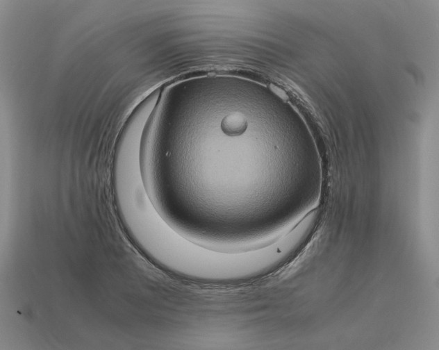 X0000113311081200910051058