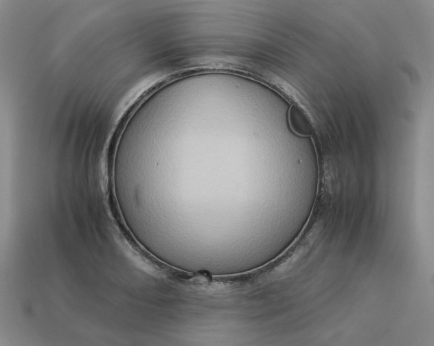 X0000113311082200910051058