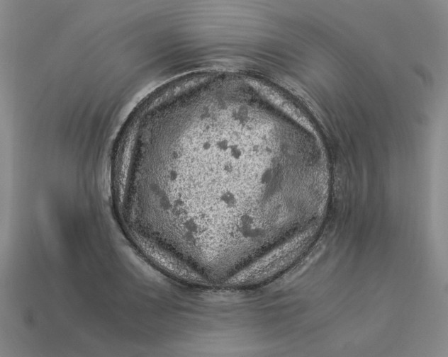 X0000113311083200910051058