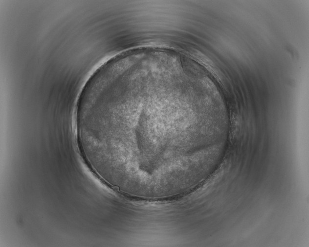 X0000113311084200910051058