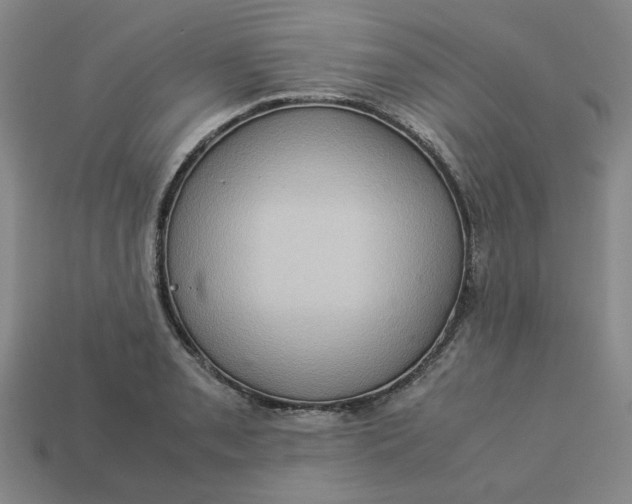 X0000113311085200910051058