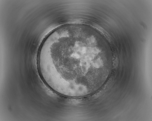 X0000113311086200910051058