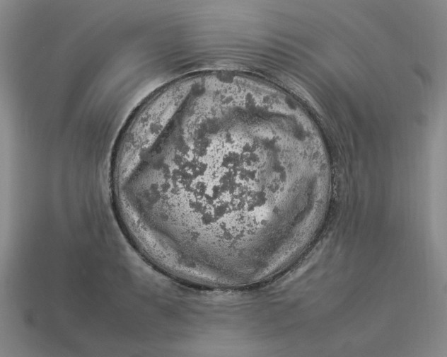 X0000113311087200910051058