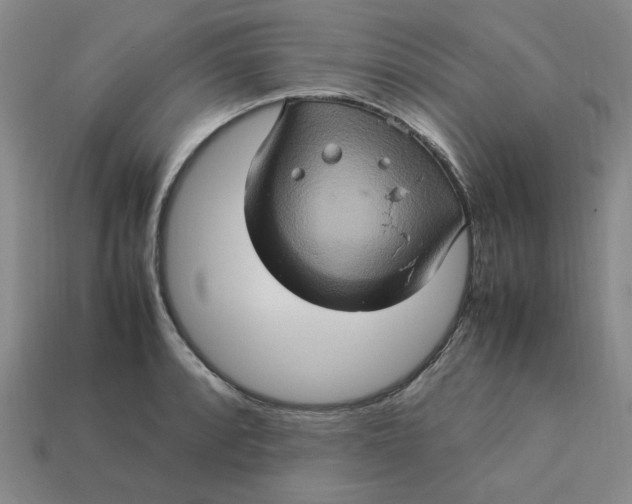 X0000113311088200910051058