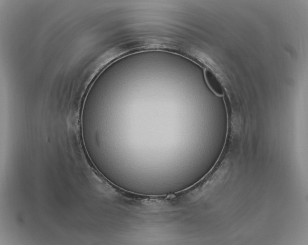 X0000113311089200910051058