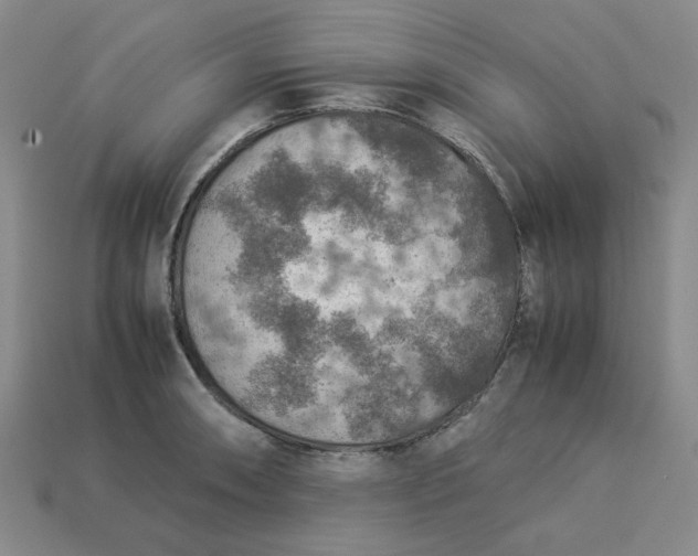 X0000113311090200910051058