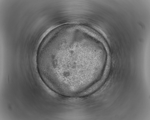 X0000113311091200910051058