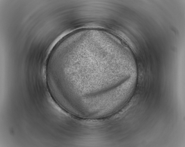 X0000113311092200910051058