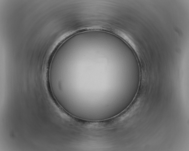 X0000113311093200910051058