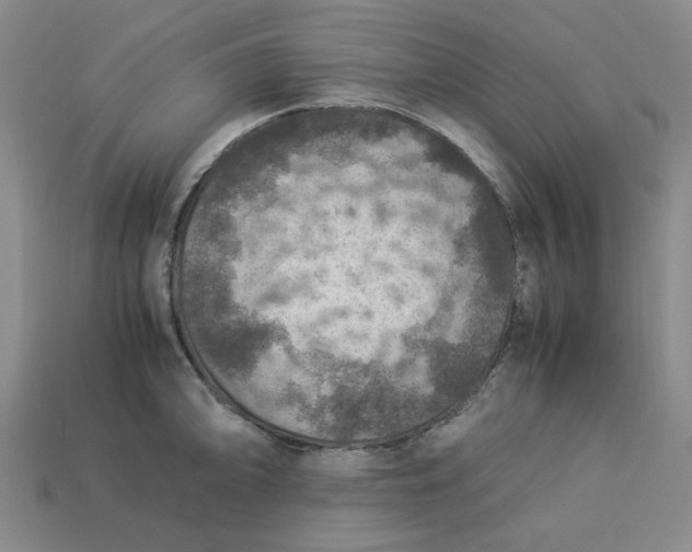 X0000113311094200910051058