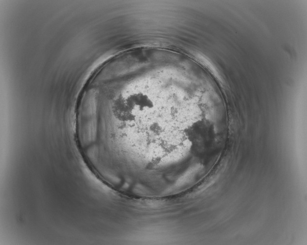 X0000113311095200910051058