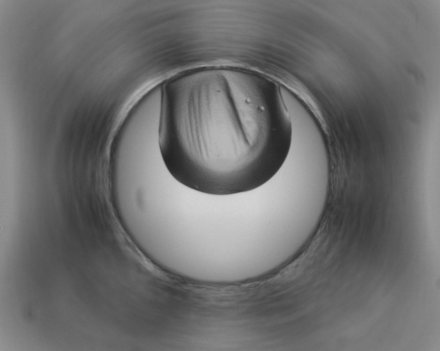 X0000113311096200910051058