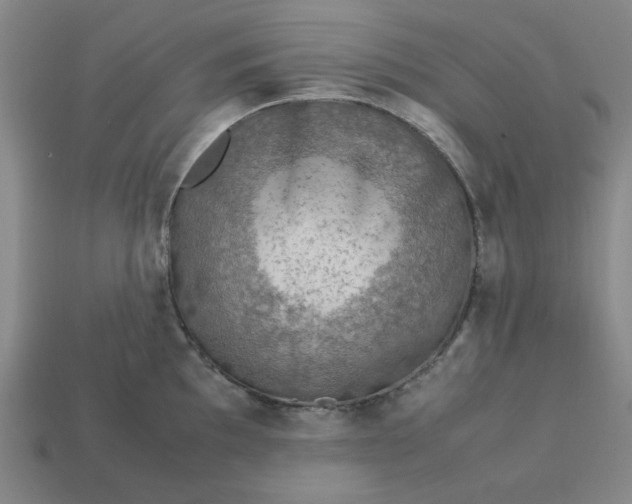 X0000113311097200910051058