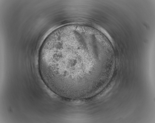 X0000113311099200910051058