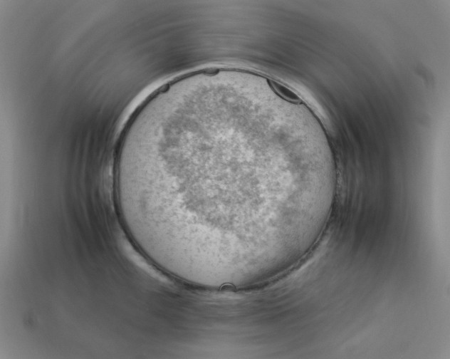 X0000113311100200910051058