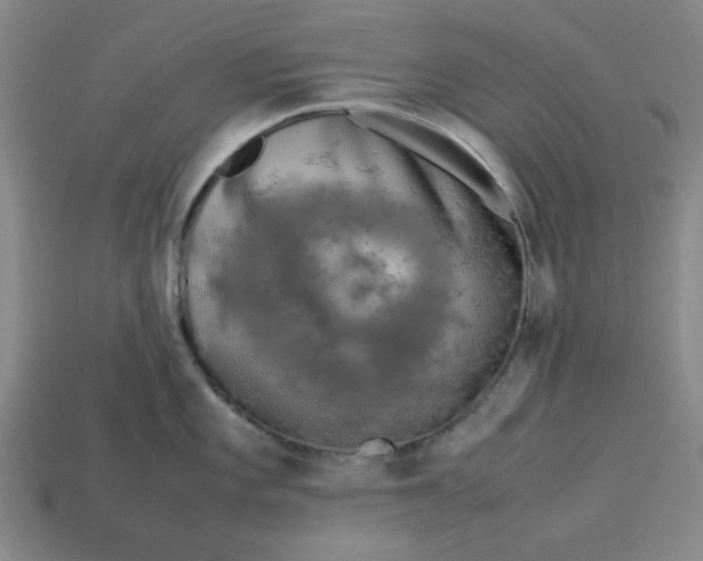 X0000113311101200910051058