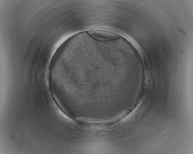 X0000113311102200910051058