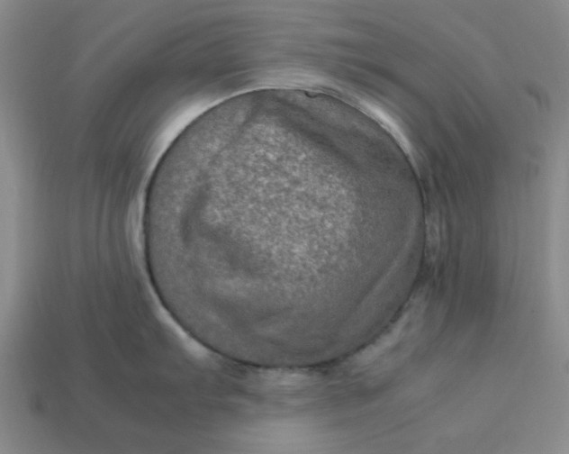 X0000113311103200910051058