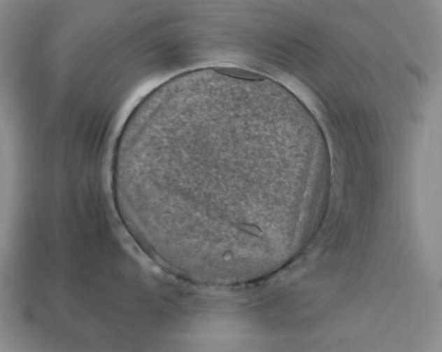 X0000113311104200910051058