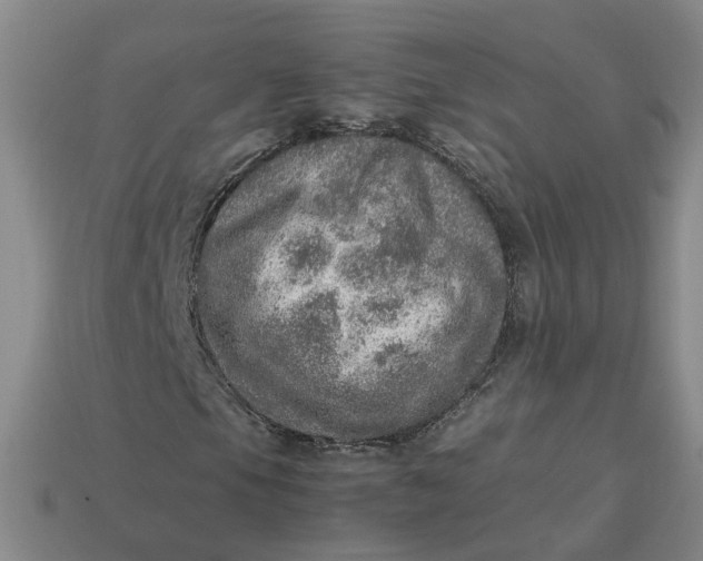 X0000113311105200910051057